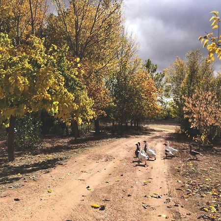 Los Manantiales Casa Rural Алкарас Екстериор снимка