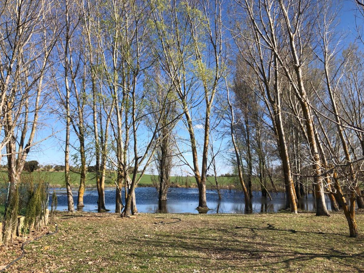 Los Manantiales Casa Rural Алкарас Екстериор снимка