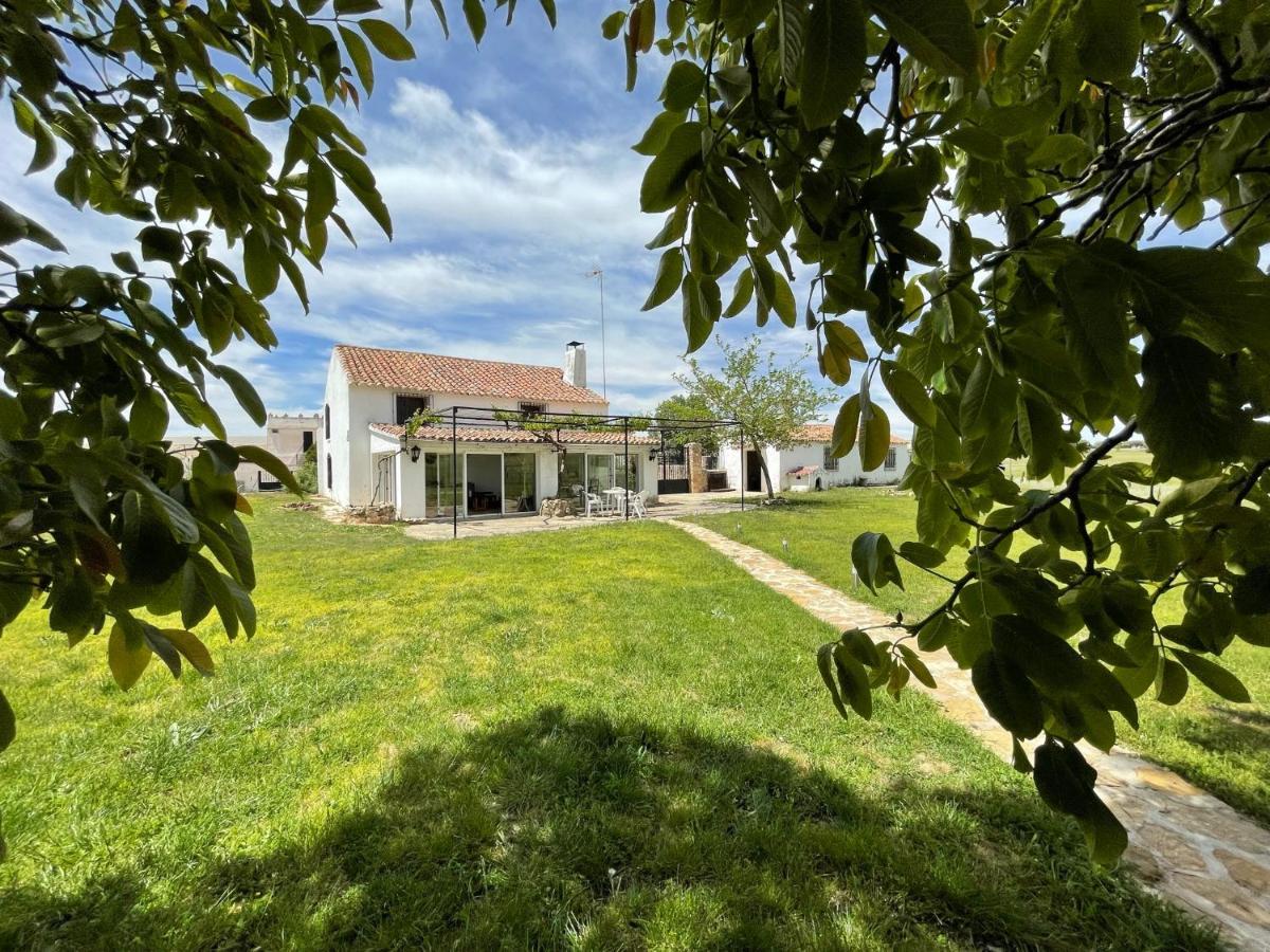 Los Manantiales Casa Rural Алкарас Екстериор снимка