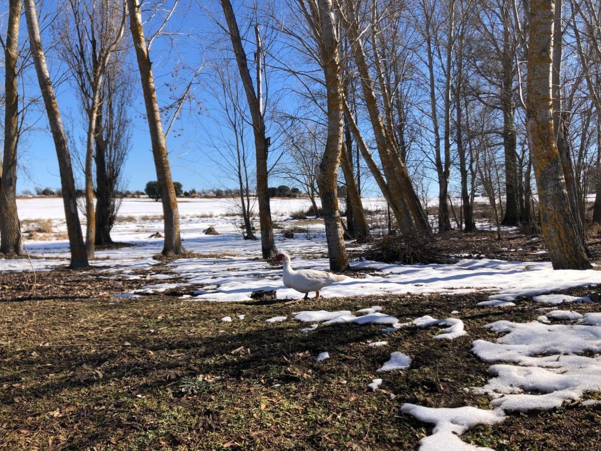 Los Manantiales Casa Rural Алкарас Екстериор снимка
