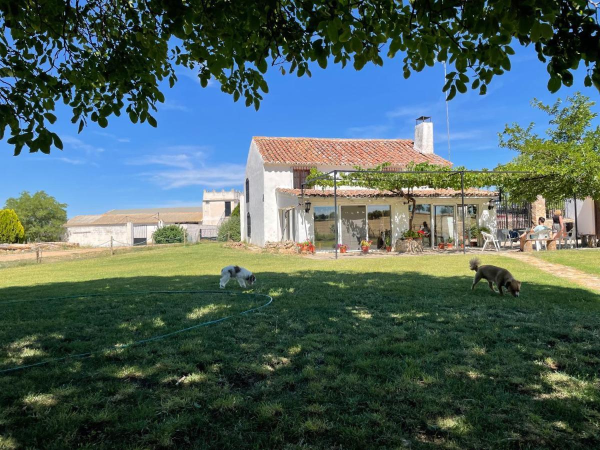 Los Manantiales Casa Rural Алкарас Екстериор снимка