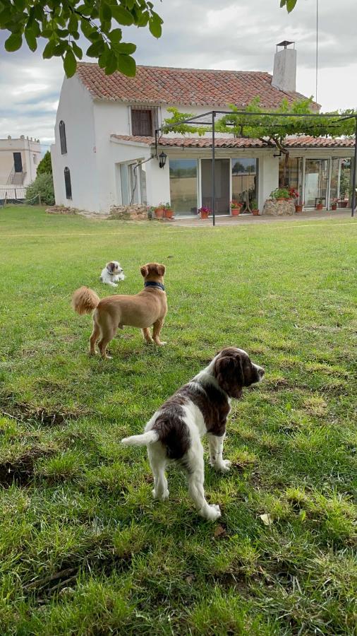 Los Manantiales Casa Rural Алкарас Екстериор снимка